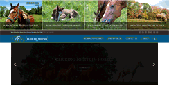 Desktop Screenshot of horsemoms.com